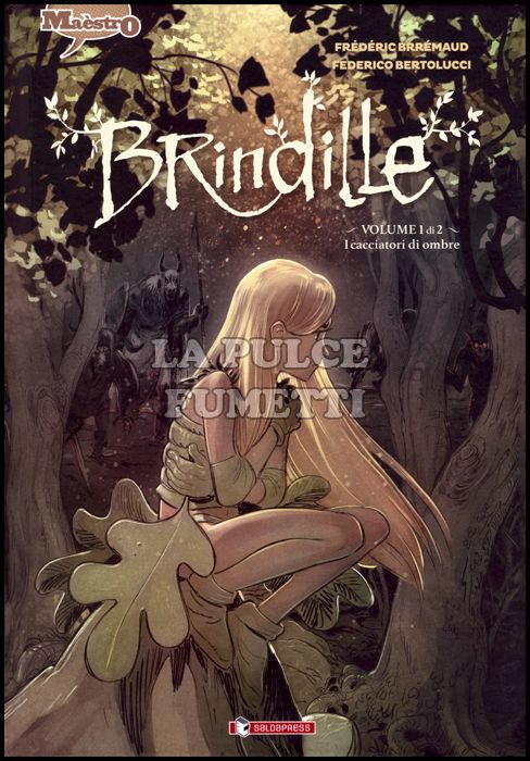 BRINDILLE #     1: I CACCIATORI DI OMBRE